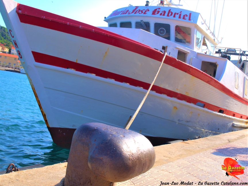 Port-Vendres : Du bateau à l’assiette